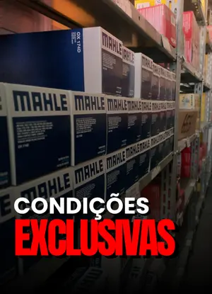 CONDIÇÕES EXCLUSIVAS