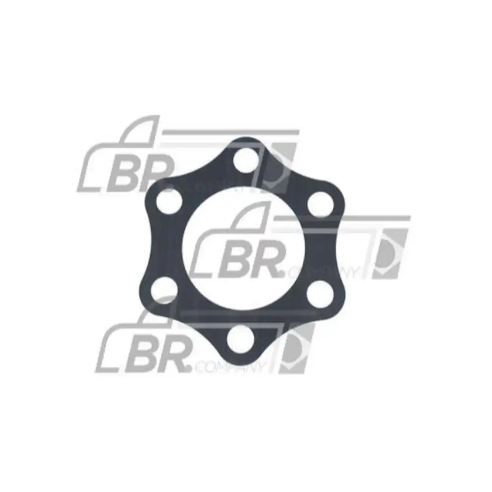 LAMINA ACOP/BOMBA INJ SCANIA 112HW/113 318523